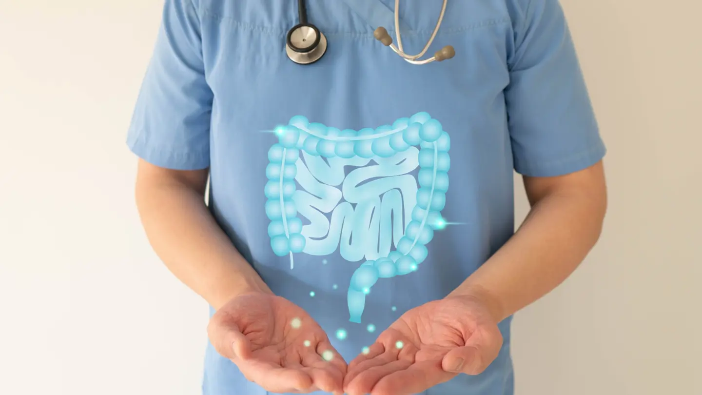 Healthy Intestine